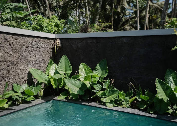 The Kuera * Ubud